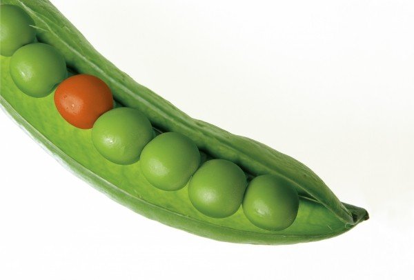 An introduction to the economics of platform competition – Part 2